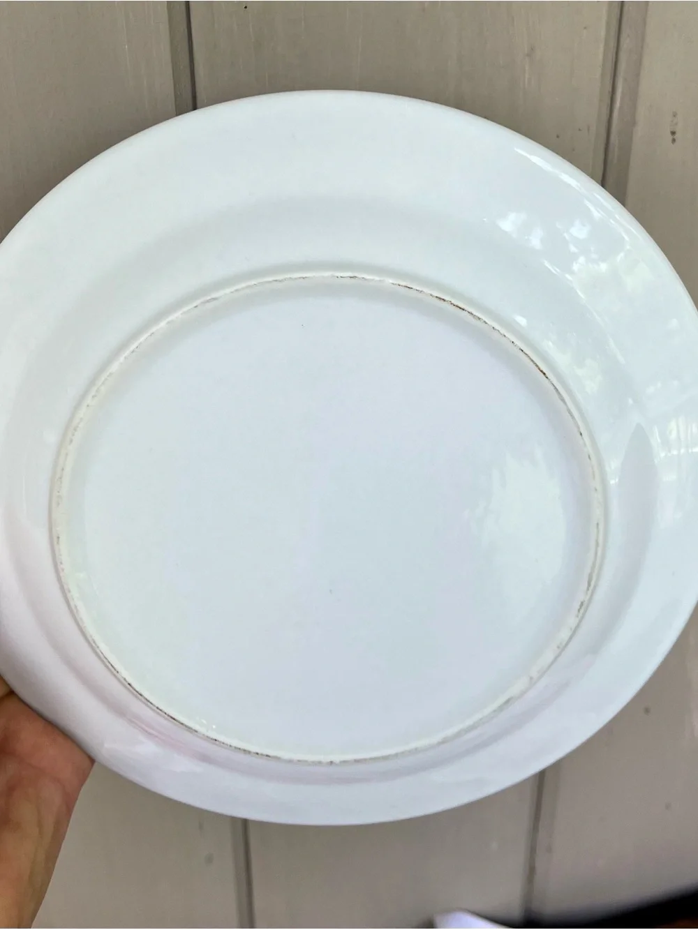 Williams Sonoma Blue and White Brittany Salad Plate Barnyard Pig